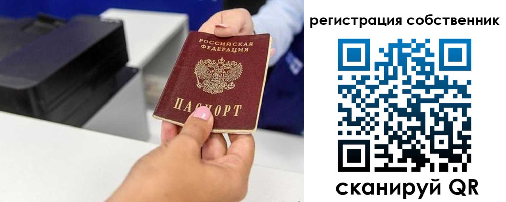 прописка для школы в Геленджике